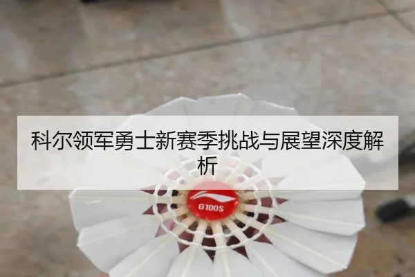 科尔领军勇士新赛季挑战与展望深度解析