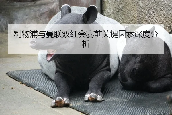 利物浦与曼联双红会赛前关键因素深度分析